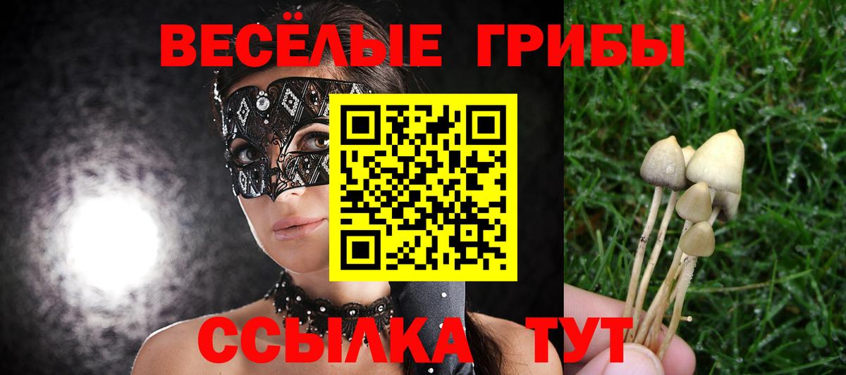 дарнет шоп  Вход с VPN  Добрянка  Галлюциногенные грибы Cubensis 